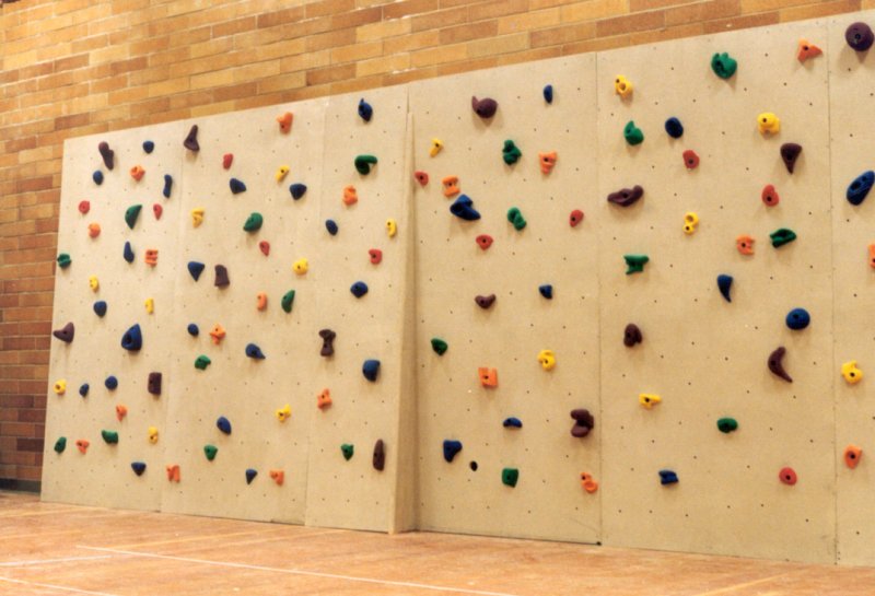Настенный скалодром 200*50 см фото 1